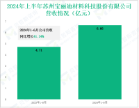 宝丽迪深耕原液着色技术，其营收在2024年上半年达6.66亿元