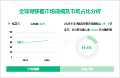 2023年全球肾移植市场规模达58.5亿美元，占据全球器官移植市场19.4%的市场份额

