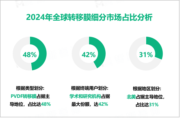 2024年全球转移膜细分市场占比分析