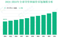 2024 - 2033 年全球导管和插管市场：按类型、应用、地区和企业划分的收入及份额洞察