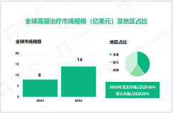 高凝治疗行业竞争格局：2024年北美市场占比达40%

