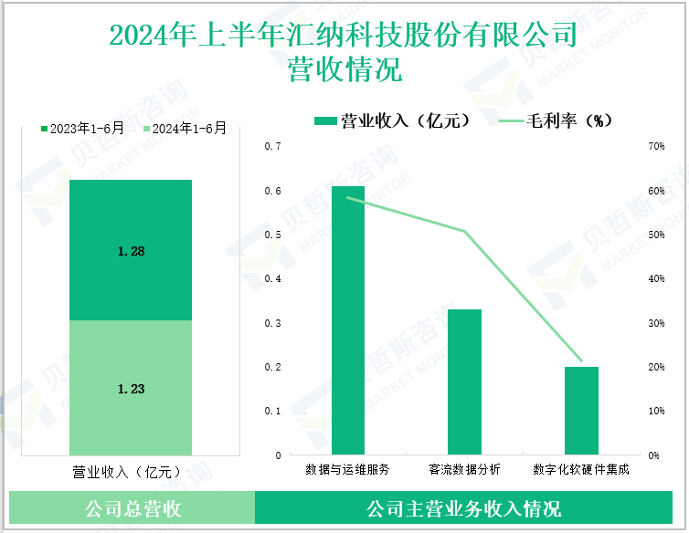 2024年上半年汇纳科技股份有限公司营收情况