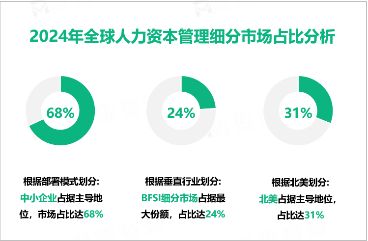 2024年全球人力资本管理细分市场占比分析