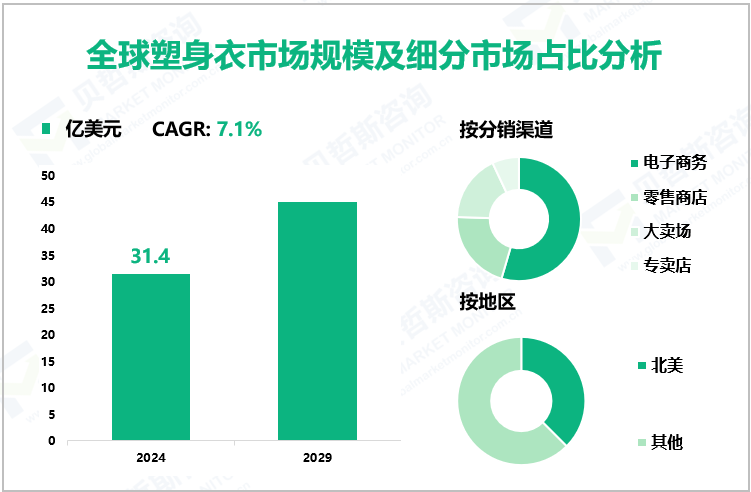 全球塑身衣市场规模及细分市场占比分析