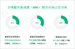 磁共振成像（MRI）区域市场细分分析：2024年亚太地区占最大份额