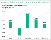 2025年1-11月崇左市规模以上工业增加值增长8.7%