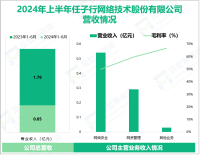 任子行专注于网络安全市场，其营收在2024年上半年为0.85亿元