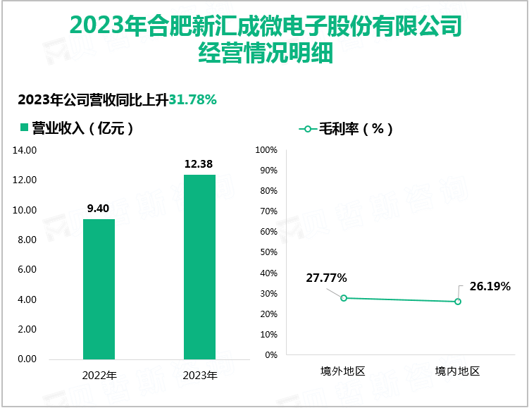 2023年合肥新汇成微电子股份有限公司经营情况明细