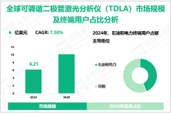 可调谐二极管激光分析仪（TDLA）发展概况：2024年全球市场规模为6.21亿美元