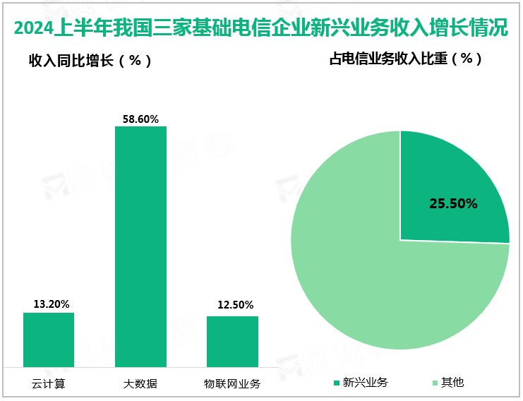 2024上半年我国三家基础电信企业新兴业务收入增长情况