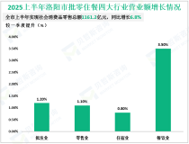 2025上半年洛阳市实现社会消费品零售总额1161.2亿元，同比增长6.8%