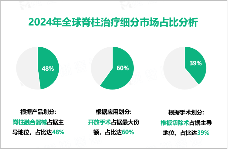 2024年全球脊柱治疗细分市场占比分析