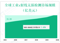 到2030年工业x射线无损检测市场规模和份额的未来，按类型、应用、地区和参与者