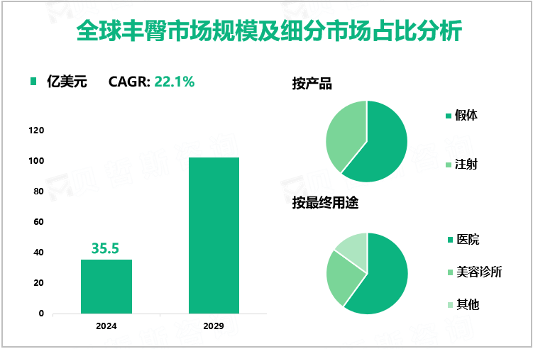 全球丰臀市场规模及细分市场占比分析