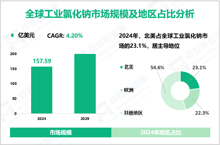 全球工业氯化钠市场规模及地区占比分析