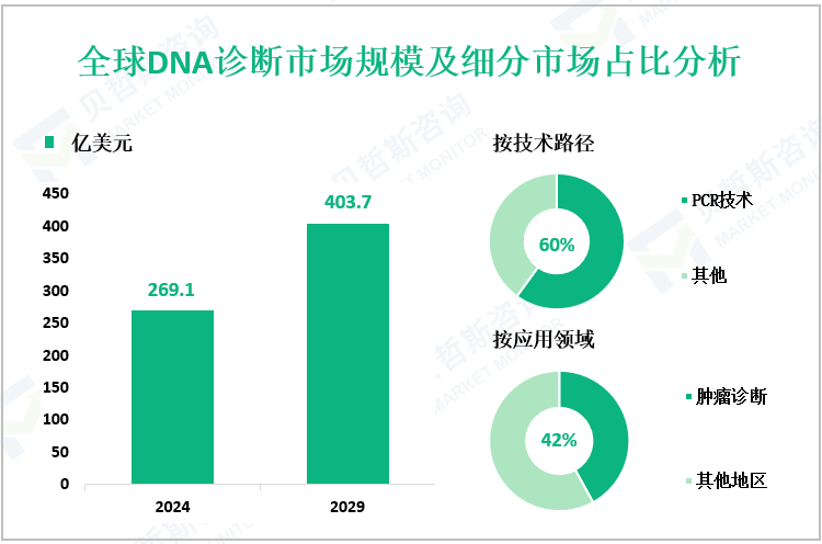 全球DNA诊断市场规模及细分市场占比分析
