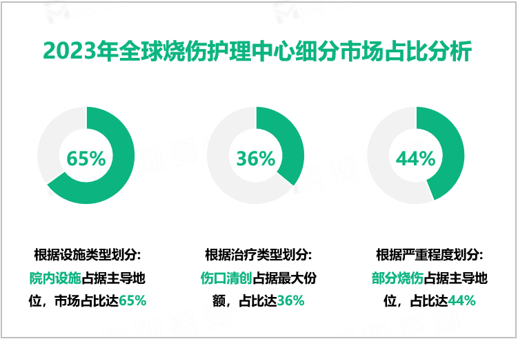 2023年全球烧伤护理中心细分市场占比分析