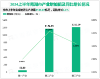 2024上半年芜湖市实现地区生产总值2435.87亿元，同比增长5.3%