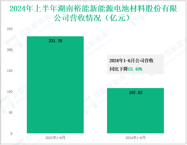 2024年上半年湖南裕能新能源电池材料股份有限公司营收情况(亿元)