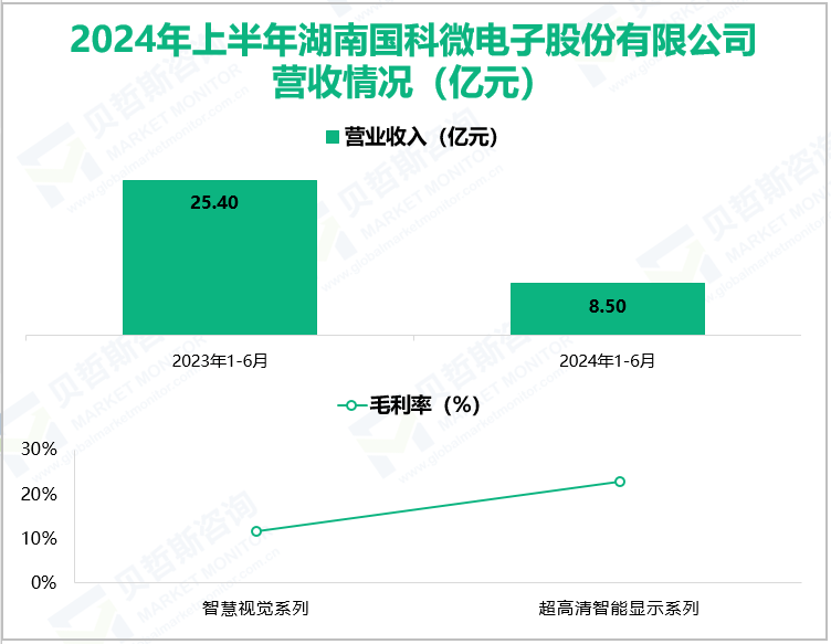 2024年上半年湖南国科微电子股份有限公司营收情况(亿元)