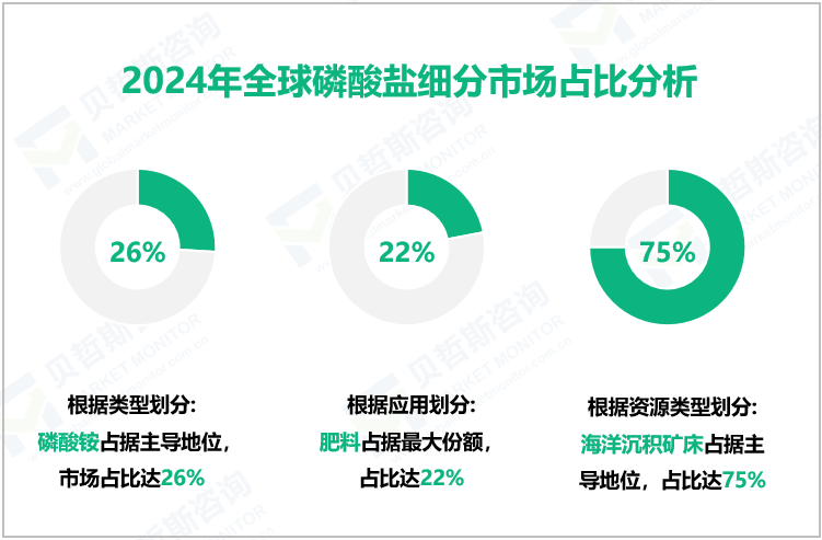 2024年全球磷酸盐细分市场占比分析