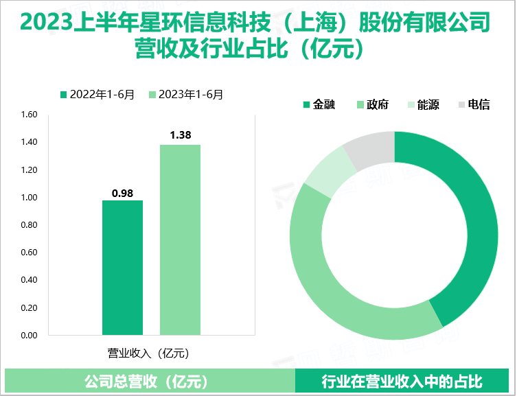 2023上半年星环信息科技（上海）股份有限公司 营收及行业占比（亿元）