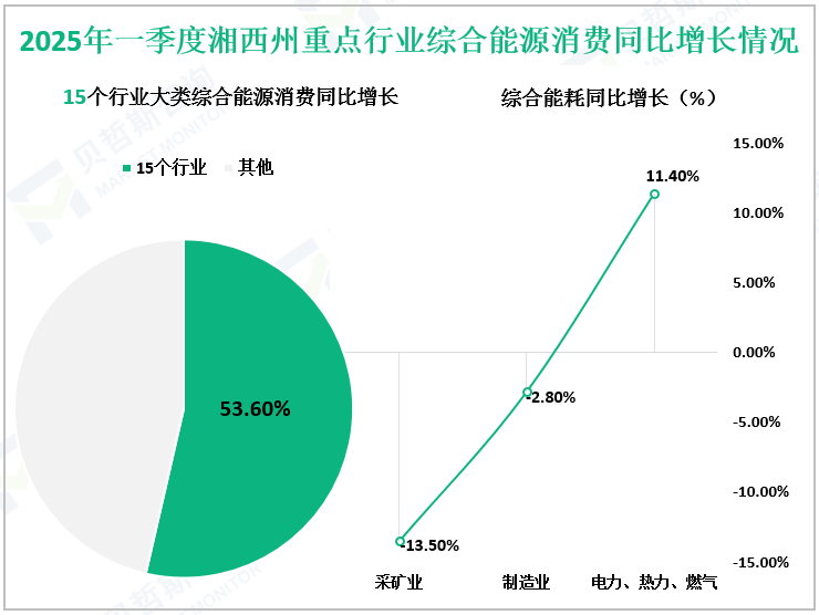 2025年一季度湘西州重点行业综合能源消费同比增长情况