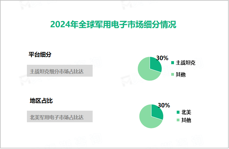 2024年全球军用电子市场细分情况