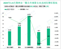 2025年1-4月荆州市地方财政总收入完成119.47亿元，同比增长5.3%
