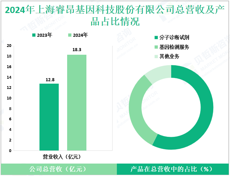 2024年上海睿昂基因科技股份有限公司总营收及产品占比情况
