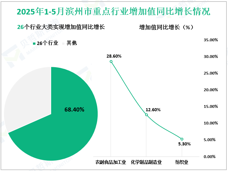 2025年1-5月滨州市重点行业增加值同比增长情况