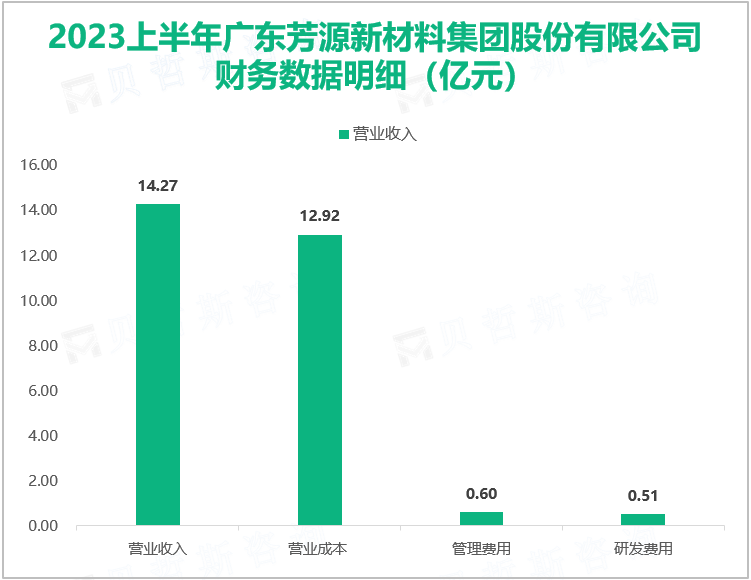 2023上半年广东芳源新材料集团股份有限公司 财务数据明细（亿元）