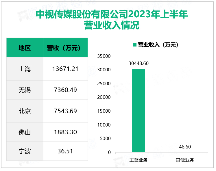 中视传媒股份有限公司2023年上半年营业收入情况