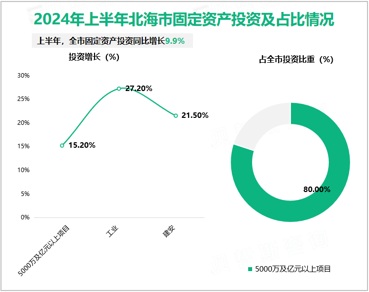 2024年上半年北海市固定资产投资及占比情况
