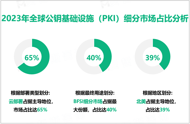 2023年全球公钥基础设施（PKI）细分市场占比分析