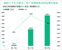2025上半年合肥市生产总值6514.7亿元，同比增长6.0%