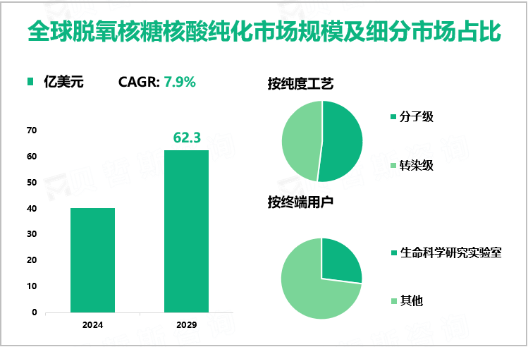 全球脱氧核糖核酸纯化市场规模及细分市场占比