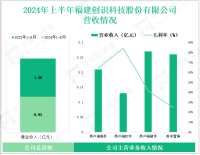 创识科技深耕电子支付行业，其营收在2024年上半年为0.93亿元