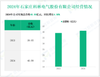 科林电气深耕电力装备领域：2024年总营收实现40.99亿元