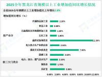 2025全年黑龙江省社会消费品零售总额5622.1亿元，比上年增长3.2%