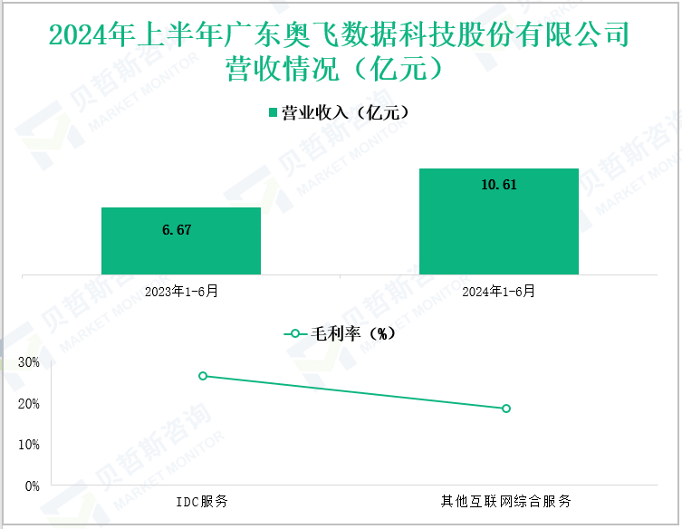 2024年上半年广东奥飞数据科技股份有限公司营收情况(亿元)