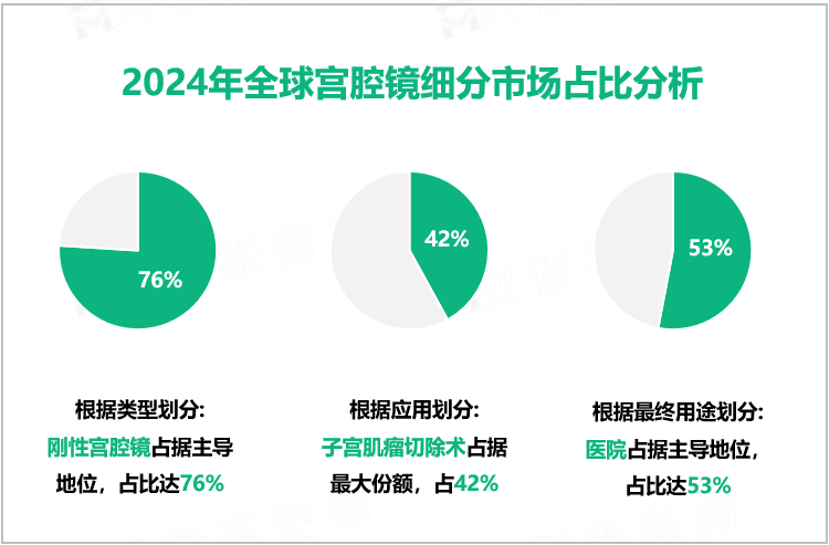 2024年全球宫腔镜细分市场占比分析