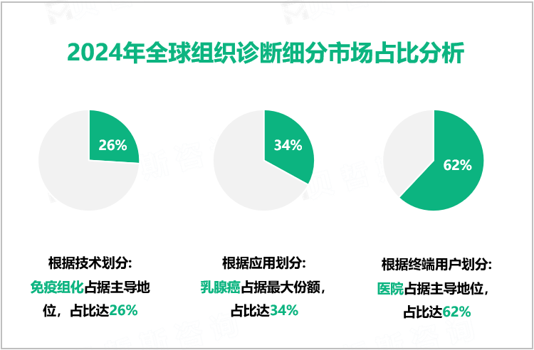 2024年全球组织诊断细分市场占比分析