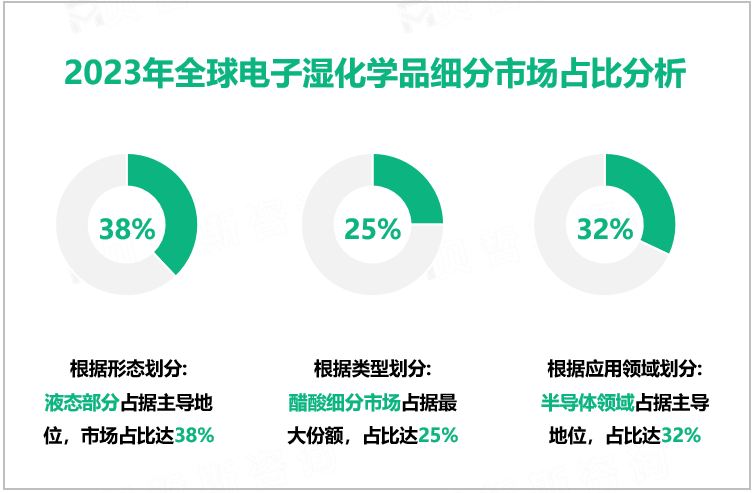 2023年全球电子湿化学品细分市场占比分析