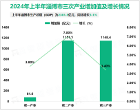 2024年上半年淄博市生产总值（GDP）为2381.5亿元，同比增长5.1%