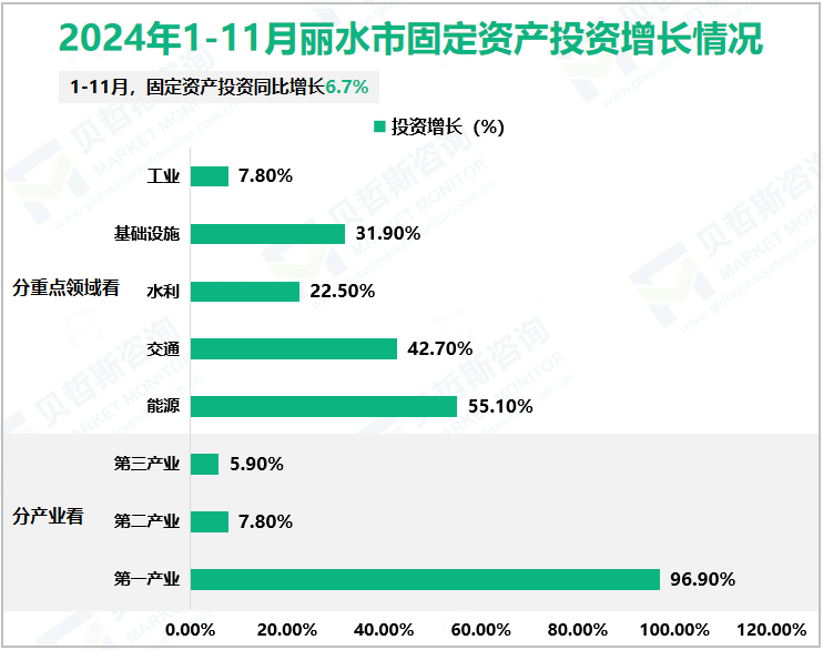 2024年1-11月丽水市固定资产投资增长情况