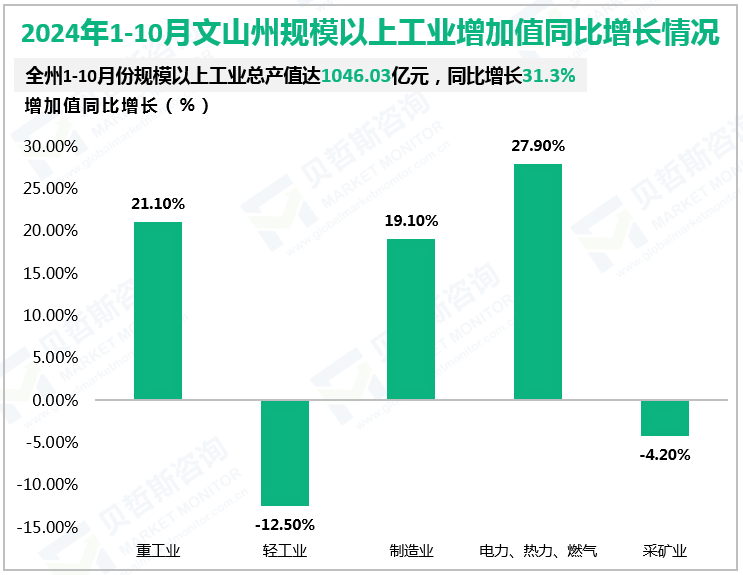 2024年1-10月文山州规模以上工业增加值同比增长情况